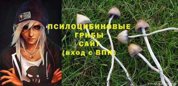 эйфоретик Остров
