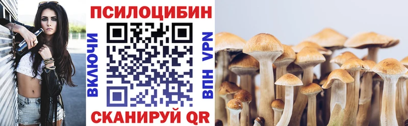 Галлюциногенные грибы GOLDEN TEACHER  Нариманов 